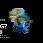 Kāpēc ESG? Baltic International Bank pieredze. fotoattēls