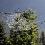 PRAKTISKI PADOMI ORGANIZĀCIJĀM: kā īstenot atbildīgu praksi vides jomā fotoattēls